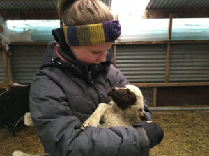 Anna kidda caring about a new born goatling